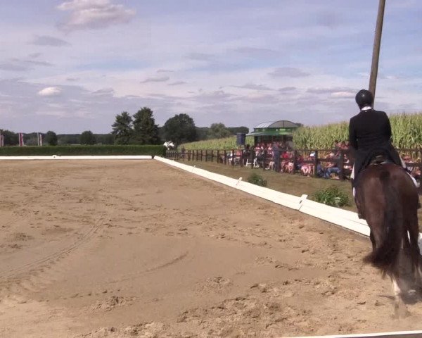 Reitturnier Gehlenbeck-Eilhausen 2018