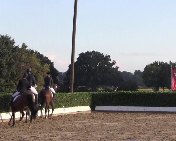 Reitturnier Gehlenbeck-Eilhausen 2018