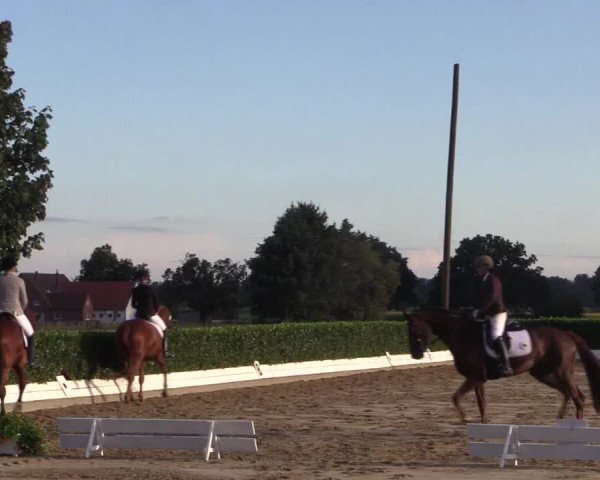 Reitturnier Gehlenbeck-Eilhausen 2018