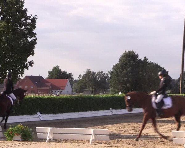 Reitturnier Gehlenbeck-Eilhausen 2018