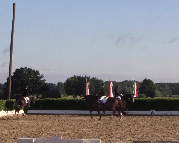 Reitturnier Gehlenbeck-Eilhausen 2018