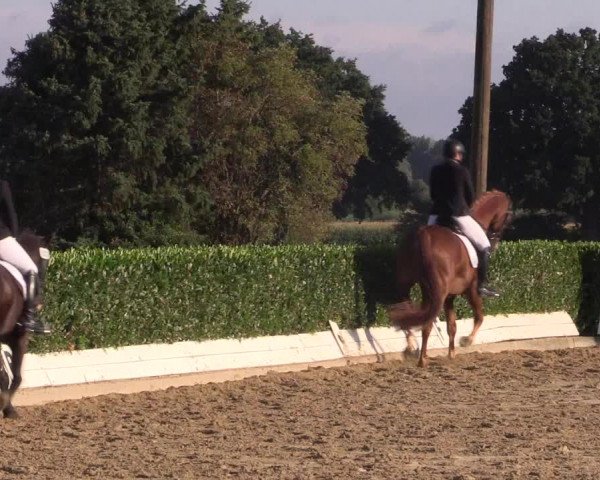 Reitturnier Gehlenbeck-Eilhausen 2018