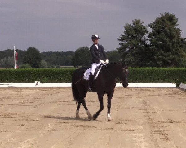 Reitturnier Gehlenbeck-Eilhausen 2018