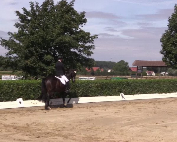 Reitturnier Gehlenbeck-Eilhausen 2018