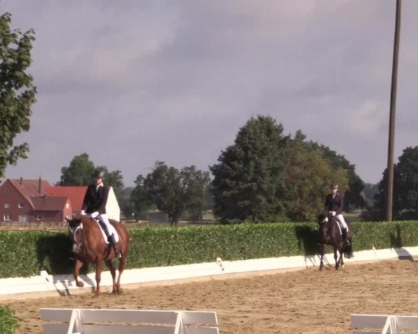 Reitturnier Gehlenbeck-Eilhausen 2018