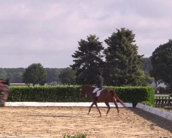 Reitturnier Gehlenbeck-Eilhausen 2018