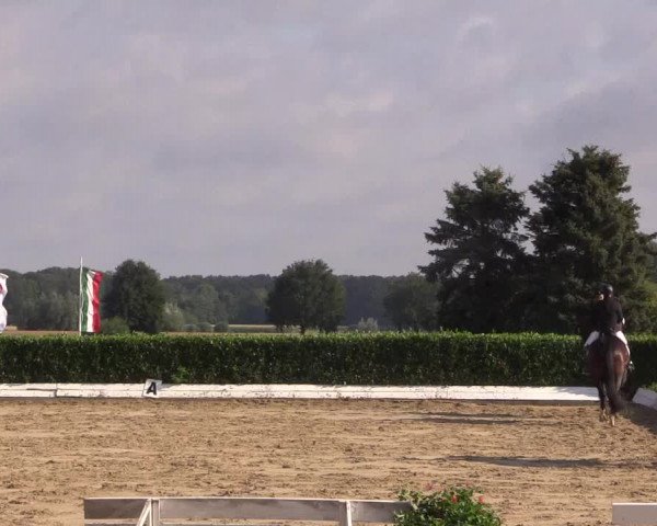 Reitturnier Gehlenbeck-Eilhausen 2018