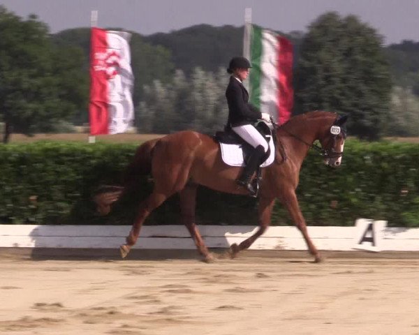 Reitturnier Gehlenbeck-Eilhausen 2018