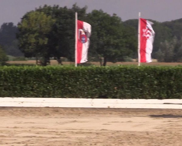 Reitturnier Gehlenbeck-Eilhausen 2018