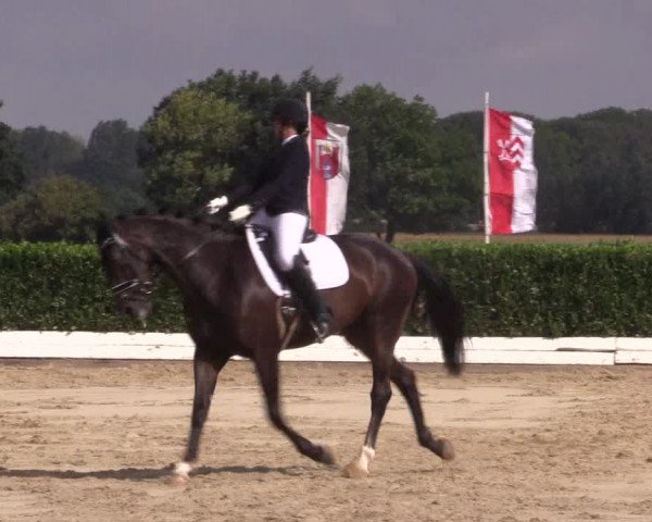 Reitturnier Gehlenbeck-Eilhausen 2018