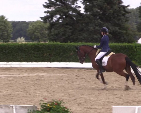 Reitturnier Gehlenbeck-Eilhausen 2018