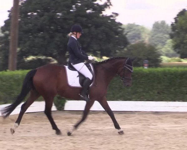 Reitturnier Gehlenbeck-Eilhausen 2018
