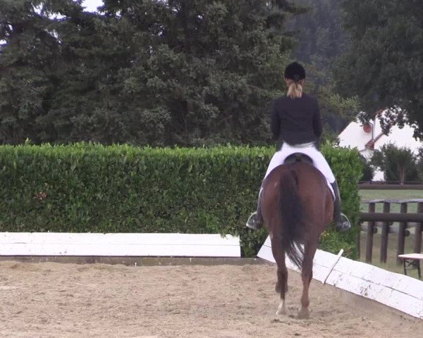 Reitturnier Gehlenbeck-Eilhausen 2018