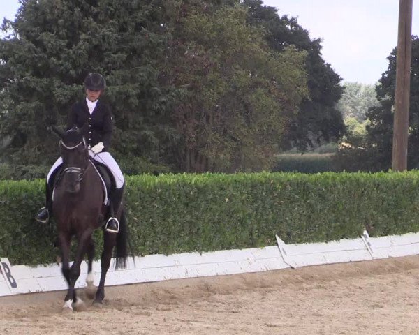 Reitturnier Gehlenbeck-Eilhausen 2018