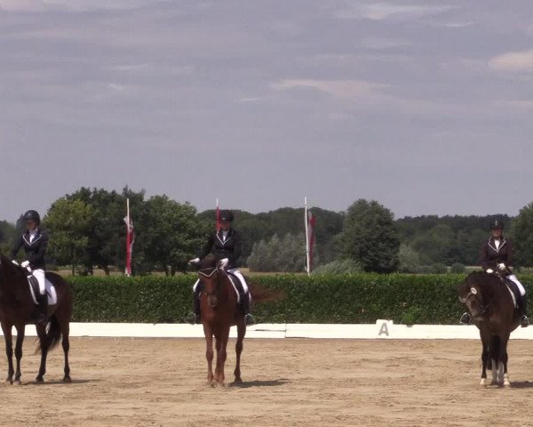 Reitturnier Gehlenbeck-Eilhausen 2018