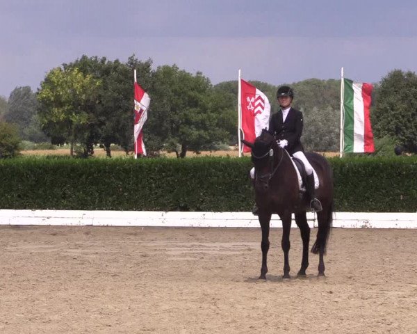 Reitturnier Gehlenbeck-Eilhausen 2018