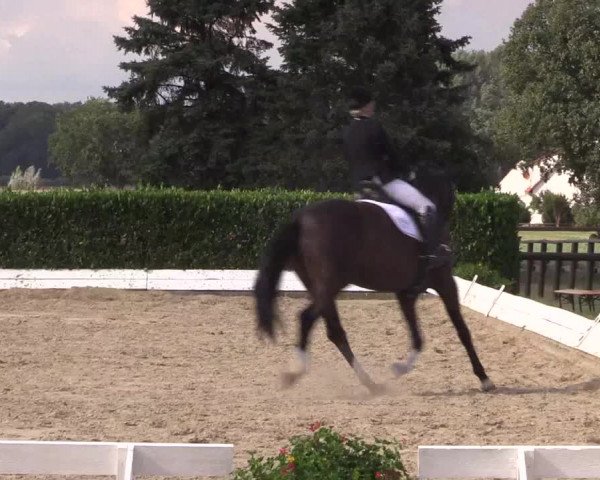 Reitturnier Gehlenbeck-Eilhausen 2018