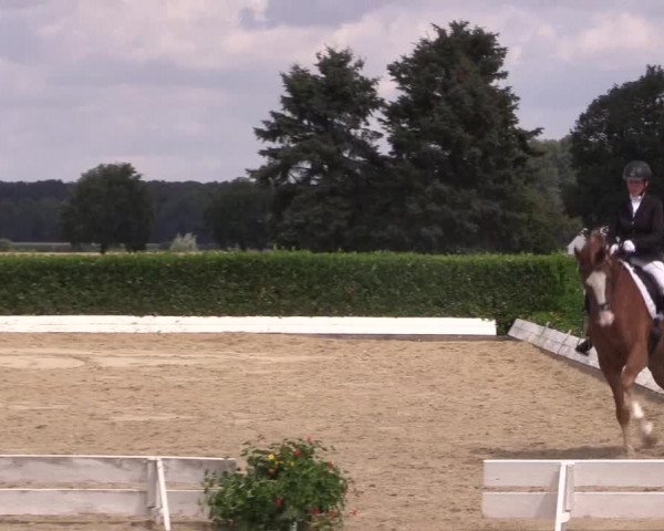 Reitturnier Gehlenbeck-Eilhausen 2018