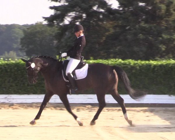 Reitturnier Gehlenbeck-Eilhausen 2018