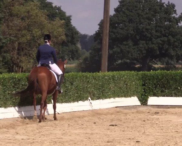 Reitturnier Gehlenbeck-Eilhausen 2018
