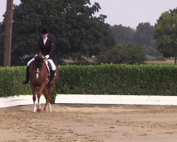 Reitturnier Gehlenbeck-Eilhausen 2018