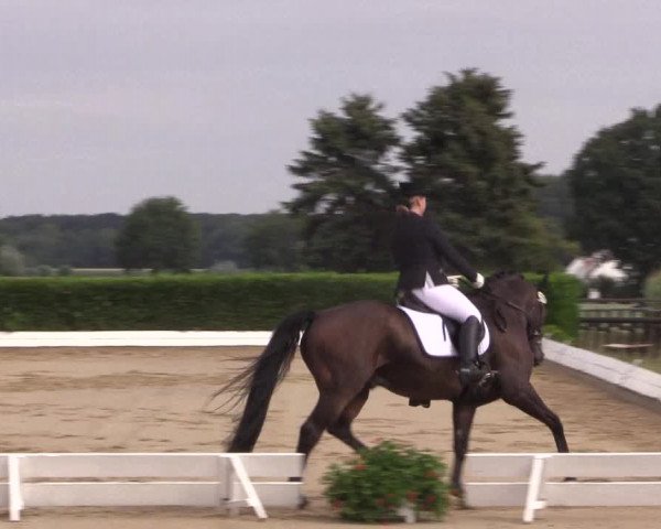 Reitturnier Gehlenbeck-Eilhausen 2018
