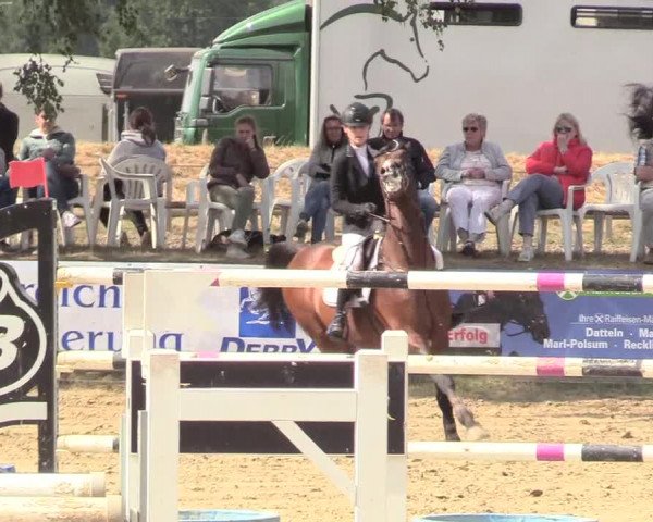 Waltroper Reitertage 2018