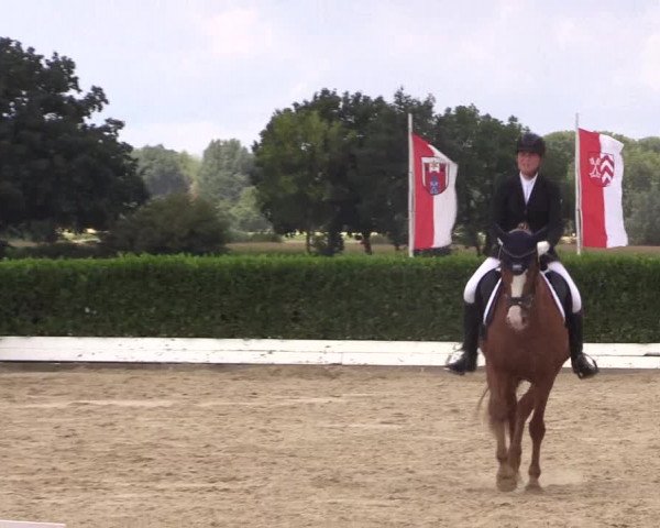 Reitturnier Gehlenbeck-Eilhausen 2018