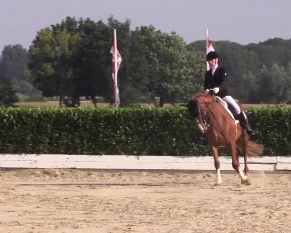Reitturnier Gehlenbeck-Eilhausen 2018