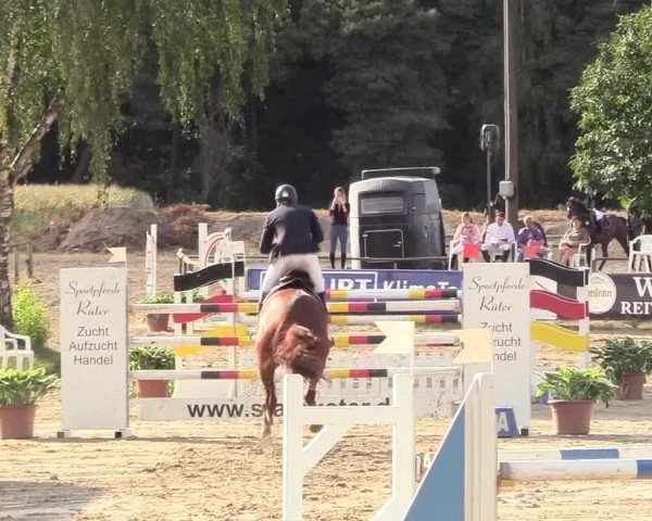 Waltroper Reitertage 2018