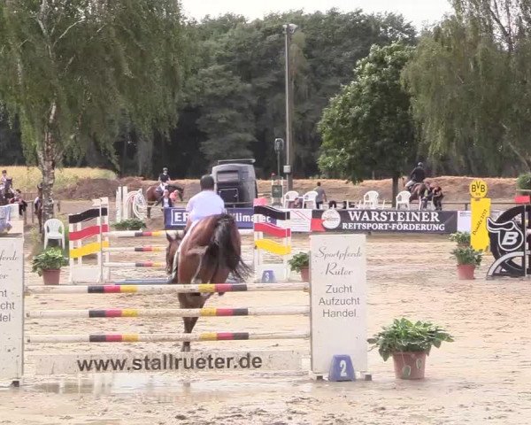 Waltroper Reitertage 2018