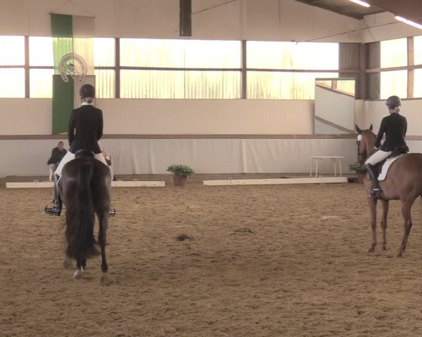 Waltroper Reitertage 2018