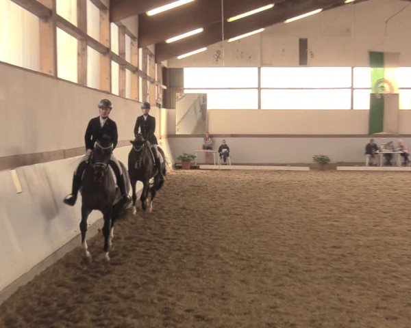 Waltroper Reitertage 2018