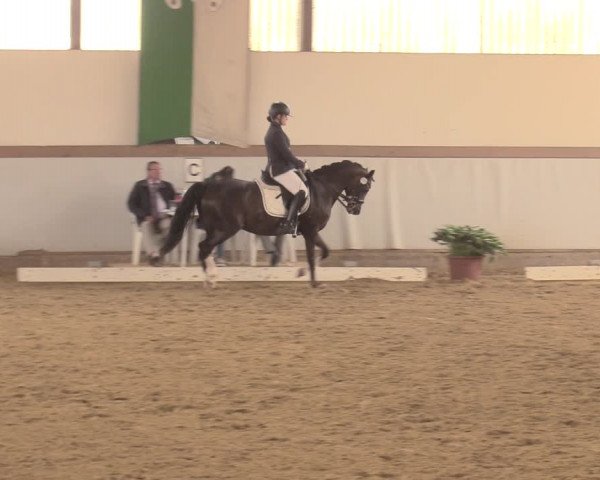 Waltroper Reitertage 2018