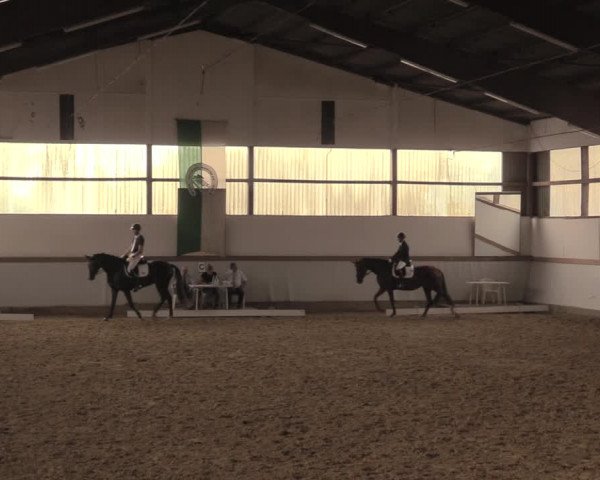 Waltroper Reitertage 2018