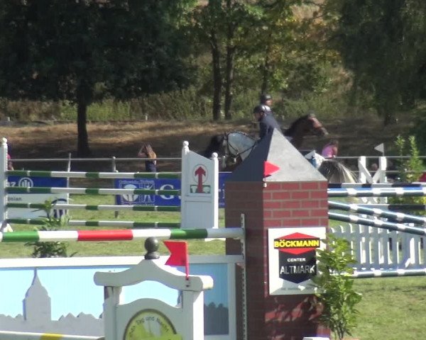 Reitturnier Gardelegen 2018
