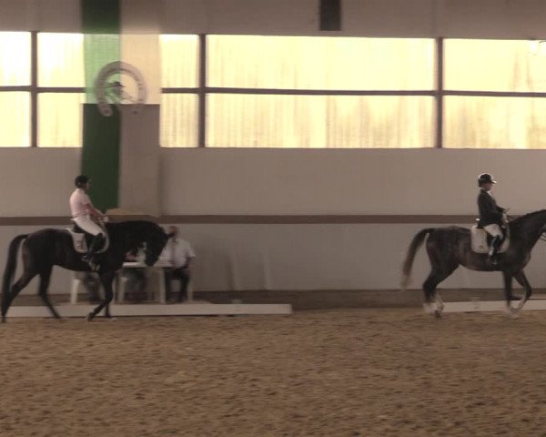 Waltroper Reitertage 2018