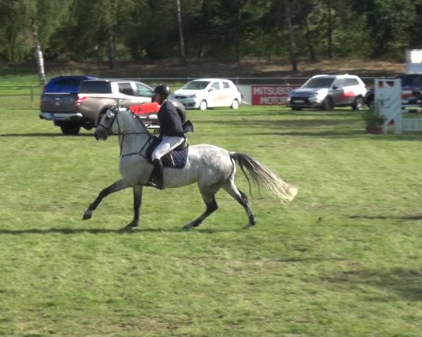 Reitturnier Gardelegen 2018