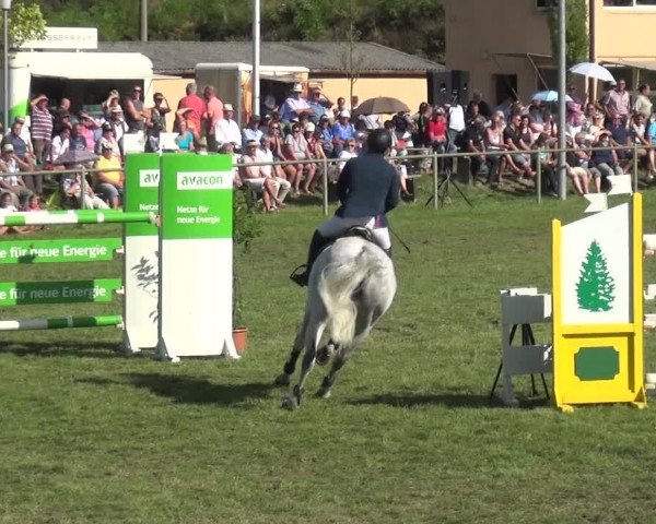 Reitturnier Gardelegen 2018