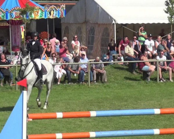 Reitturnier Gardelegen 2018
