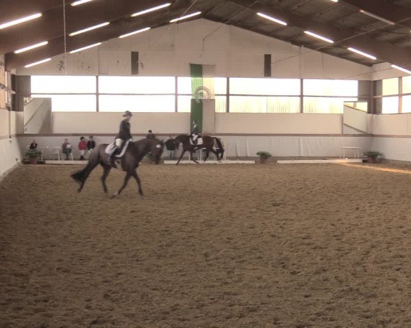 Waltroper Reitertage 2018