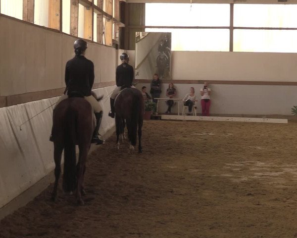 Waltroper Reitertage 2018