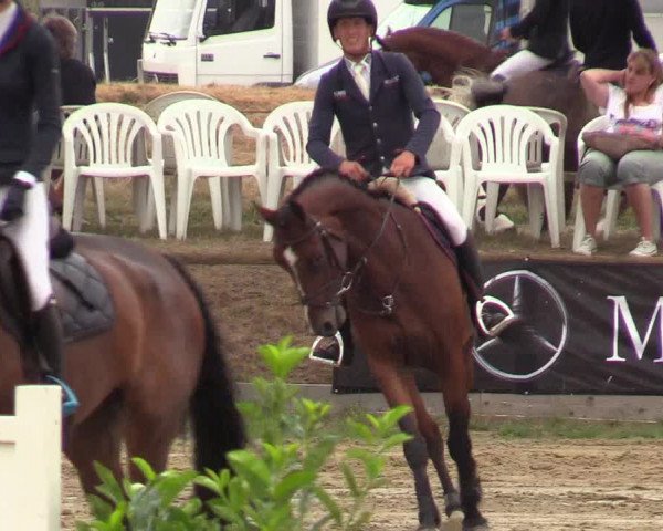 Waltroper Reitertage 2018