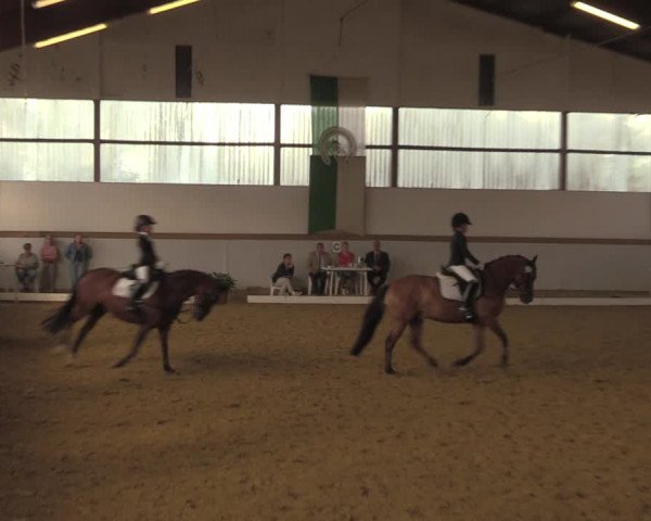 Waltroper Reitertage 2018
