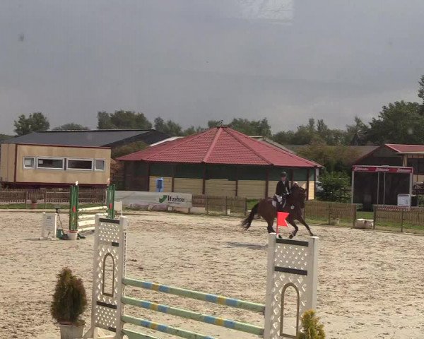 Reitturnier Schülp / Rendsburg 2018