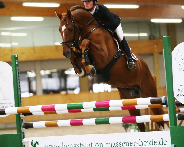 Deckhengst Very Fine (Hannoveraner, 2013, von Viscount 22)