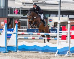 stallion Seitensprung (Hanoverian, 2009, from Stakkato)