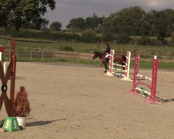 Reitturnier Schülp / Rendsburg 2018