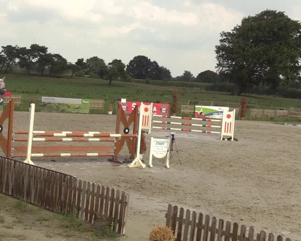 Reitturnier Schülp / Rendsburg 2018