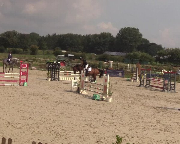 Reitturnier Schülp / Rendsburg 2018